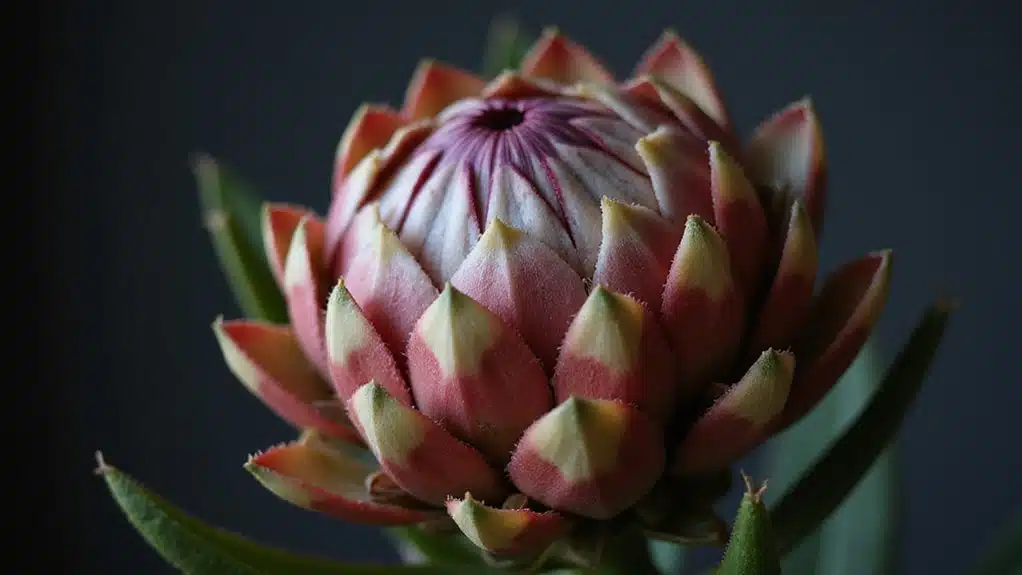 Die Widerstandsfähigkeit der Natur inspiriert das Design